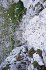 v prvi raztežaj